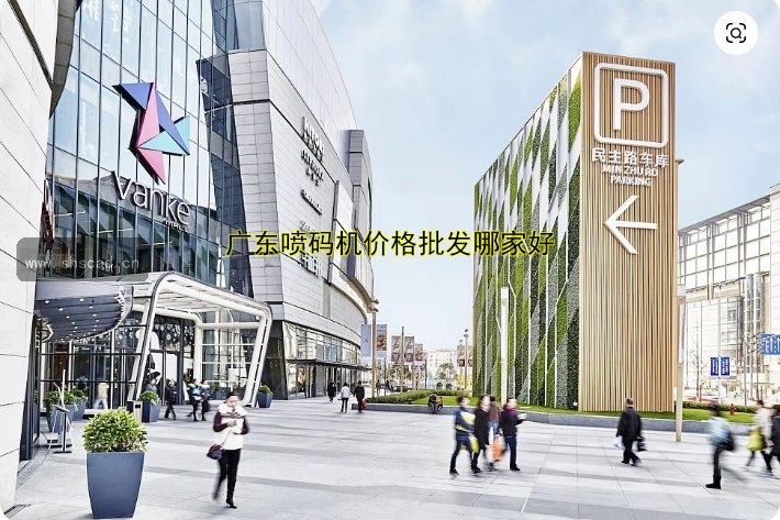 廣東噴碼機價格批發(fā)哪家好