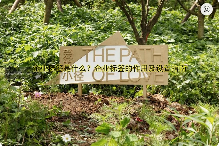 企業(yè)標(biāo)簽是什么？企業(yè)標(biāo)簽的作用及設(shè)置指南