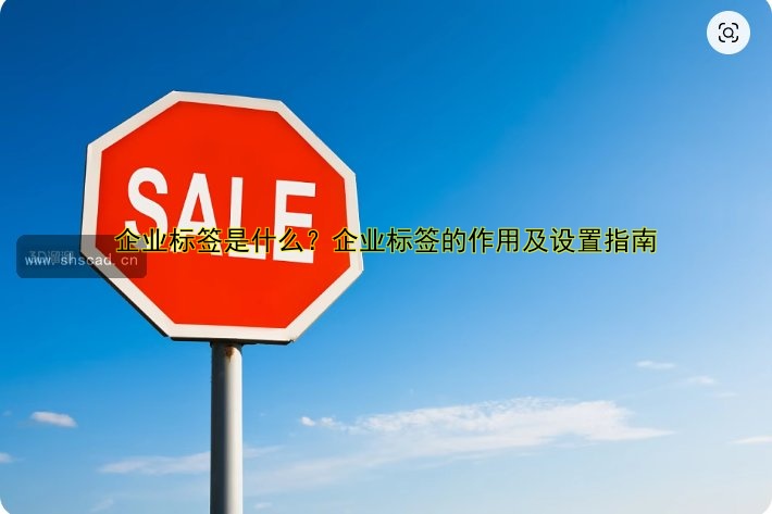 企業(yè)標(biāo)簽是什么？企業(yè)標(biāo)簽的作用及設(shè)置指南